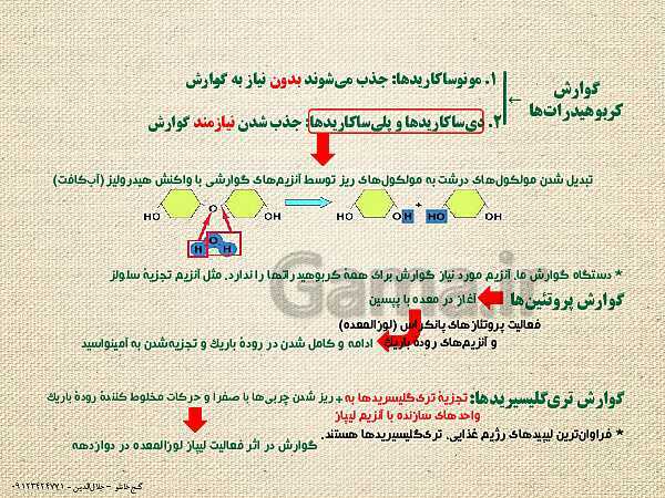 پاورپوینت گفتار 1 از فصل دوم زیست شناسی دهم تجربی | ساختار و عملکرد لولۀ گوارش- پیش نمایش