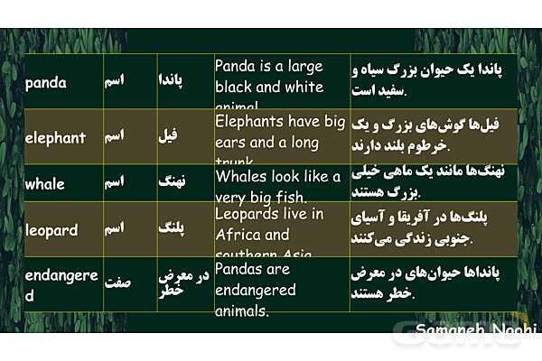 پاورپوینت درس اول زبان انگلیسی دهم- پیش نمایش