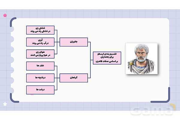 پاورپوینت فصل 11 علوم نهم؛ گوناگونی جانداران- پیش نمایش