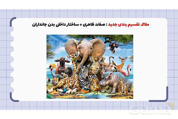 پاورپوینت فصل 11 علوم نهم؛ گوناگونی جانداران- پیش نمایش