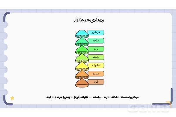 پاورپوینت فصل 11 علوم نهم؛ گوناگونی جانداران- پیش نمایش