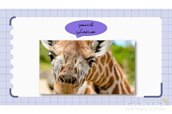 پاورپوینت فصل 11 علوم نهم؛ گوناگونی جانداران- پیش نمایش