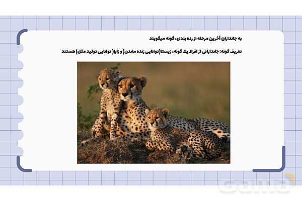 پاورپوینت فصل 11 علوم نهم؛ گوناگونی جانداران- پیش نمایش