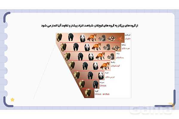 پاورپوینت فصل 11 علوم نهم؛ گوناگونی جانداران- پیش نمایش