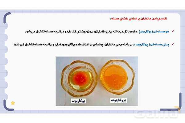 پاورپوینت فصل 11 علوم نهم؛ گوناگونی جانداران- پیش نمایش