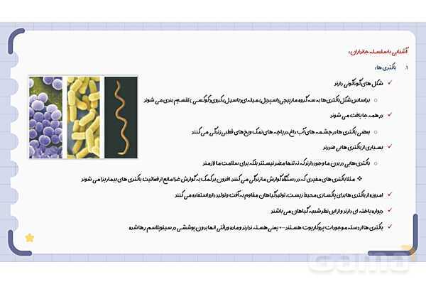پاورپوینت فصل 11 علوم نهم؛ گوناگونی جانداران- پیش نمایش