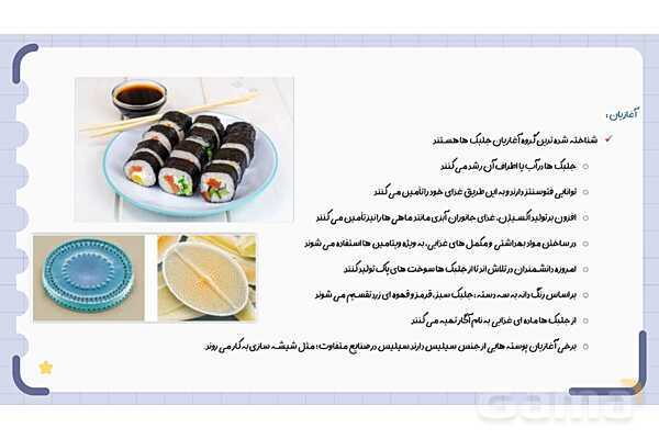 پاورپوینت فصل 11 علوم نهم؛ گوناگونی جانداران- پیش نمایش