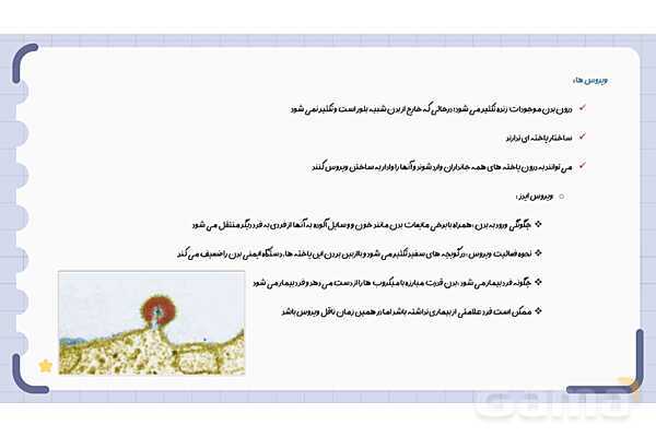 پاورپوینت فصل 11 علوم نهم؛ گوناگونی جانداران- پیش نمایش