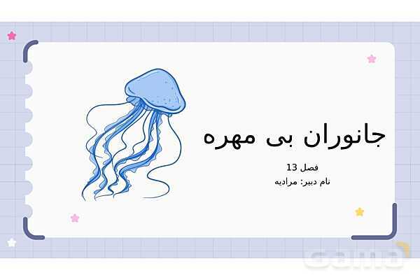 پاورپوینت فصل 13 علوم نهم؛ جانوران بی مهره- پیش نمایش