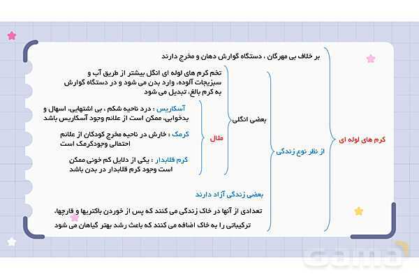 پاورپوینت فصل 13 علوم نهم؛ جانوران بی مهره- پیش نمایش