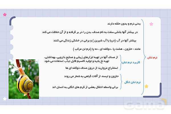 پاورپوینت فصل 13 علوم نهم؛ جانوران بی مهره- پیش نمایش