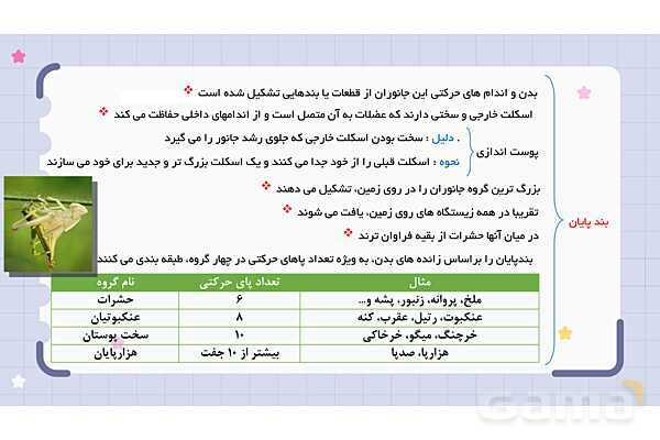پاورپوینت فصل 13 علوم نهم؛ جانوران بی مهره- پیش نمایش