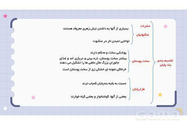 پاورپوینت فصل 13 علوم نهم؛ جانوران بی مهره- پیش نمایش