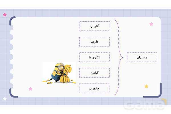 پاورپوینت فصل 12 علوم نهم؛ دنیای گیاهان- پیش نمایش