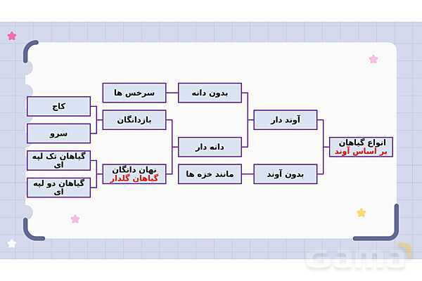 پاورپوینت فصل 12 علوم نهم؛ دنیای گیاهان- پیش نمایش