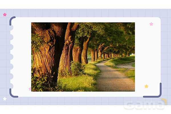 پاورپوینت فصل 12 علوم نهم؛ دنیای گیاهان- پیش نمایش