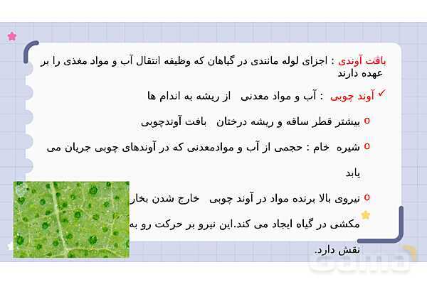 پاورپوینت فصل 12 علوم نهم؛ دنیای گیاهان- پیش نمایش