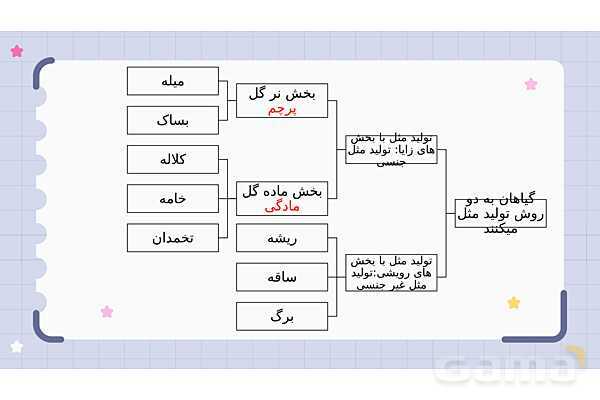 پاورپوینت فصل 12 علوم نهم؛ دنیای گیاهان- پیش نمایش