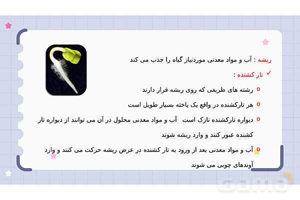 پاورپوینت فصل 12 علوم نهم؛ دنیای گیاهان- پیش نمایش