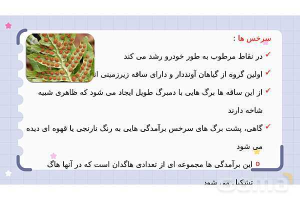 پاورپوینت فصل 12 علوم نهم؛ دنیای گیاهان- پیش نمایش
