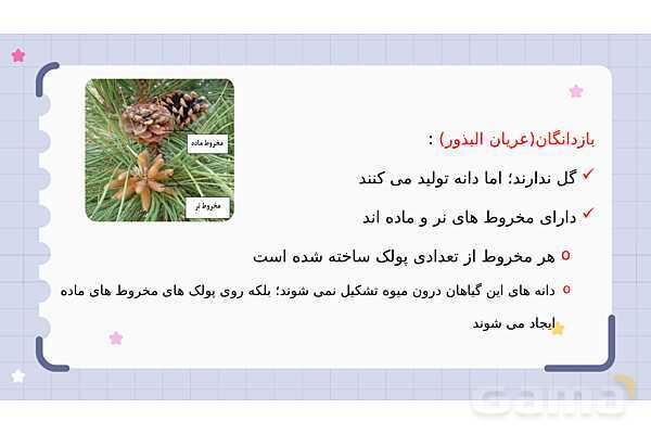 پاورپوینت فصل 12 علوم نهم؛ دنیای گیاهان- پیش نمایش