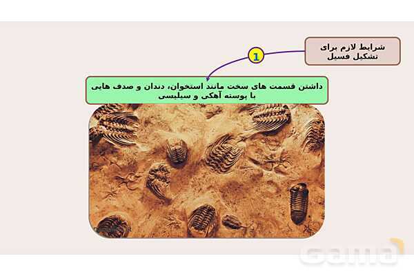 پاورپوینت فصل 7 علوم نهم؛ آثاری از گذشته زمین- پیش نمایش