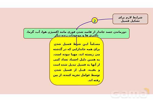 پاورپوینت فصل 7 علوم نهم؛ آثاری از گذشته زمین- پیش نمایش