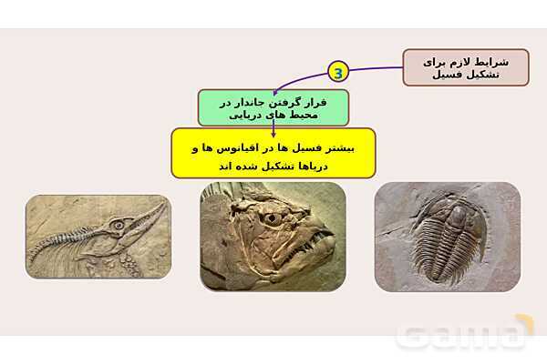 پاورپوینت فصل 7 علوم نهم؛ آثاری از گذشته زمین- پیش نمایش