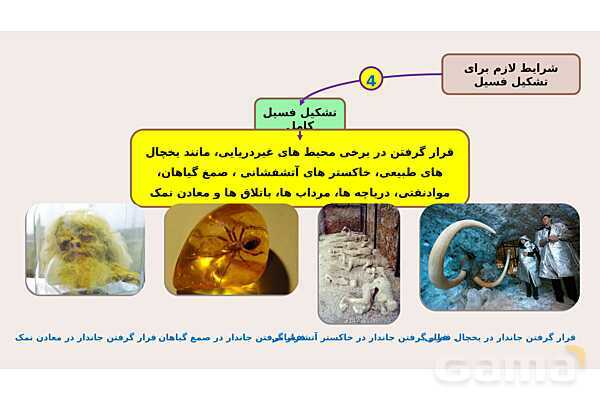 پاورپوینت فصل 7 علوم نهم؛ آثاری از گذشته زمین- پیش نمایش