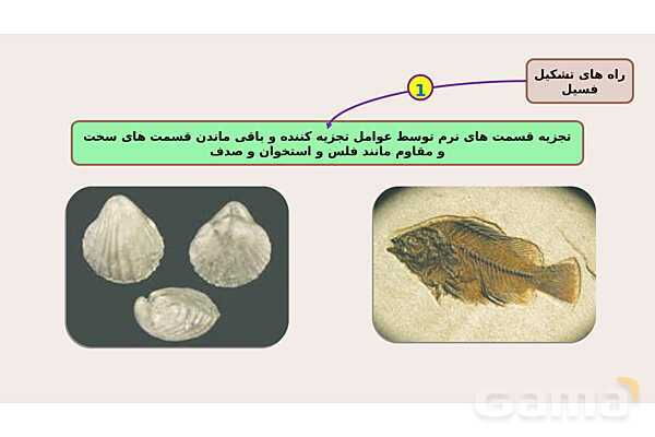 پاورپوینت فصل 7 علوم نهم؛ آثاری از گذشته زمین- پیش نمایش