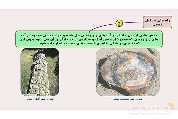 پاورپوینت فصل 7 علوم نهم؛ آثاری از گذشته زمین- پیش نمایش