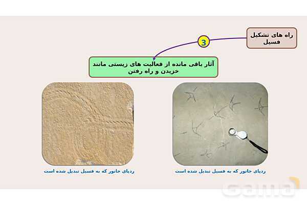 پاورپوینت فصل 7 علوم نهم؛ آثاری از گذشته زمین- پیش نمایش