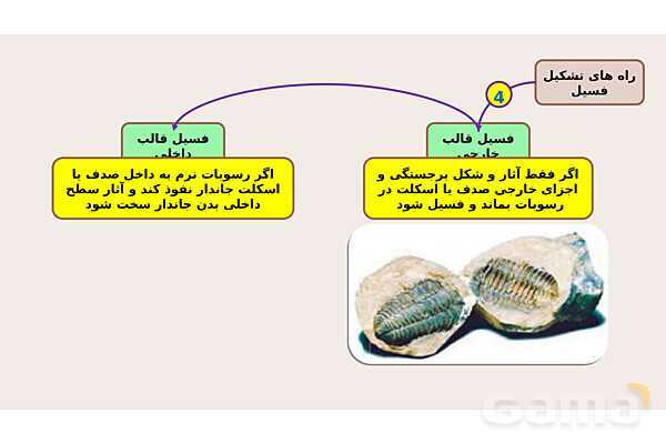 پاورپوینت فصل 7 علوم نهم؛ آثاری از گذشته زمین- پیش نمایش