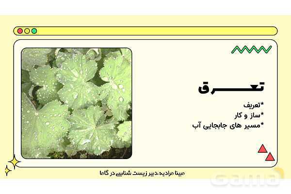 پاورپوینت تدریس فصل 7 گفتار 3 زیست دهم؛ انتقال مواد در گیاهان- پیش نمایش