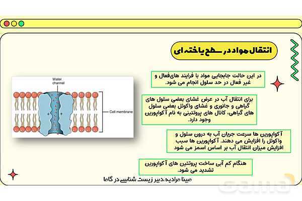 پاورپوینت تدریس فصل 7 گفتار 3 زیست دهم؛ انتقال مواد در گیاهان- پیش نمایش