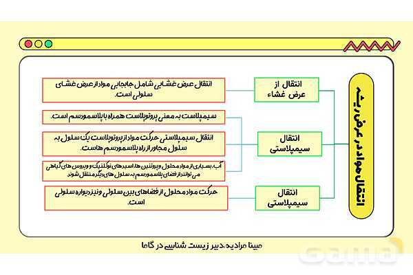 پاورپوینت تدریس فصل 7 گفتار 3 زیست دهم؛ انتقال مواد در گیاهان- پیش نمایش