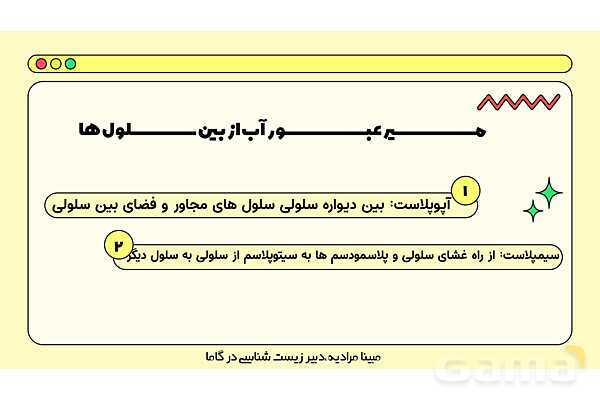 پاورپوینت تدریس فصل 7 گفتار 3 زیست دهم؛ انتقال مواد در گیاهان- پیش نمایش