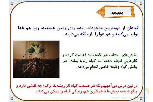 پاورپوینت علوم تجربی پایه پنجم | درس 12: از ریشه تا برگ- پیش نمایش