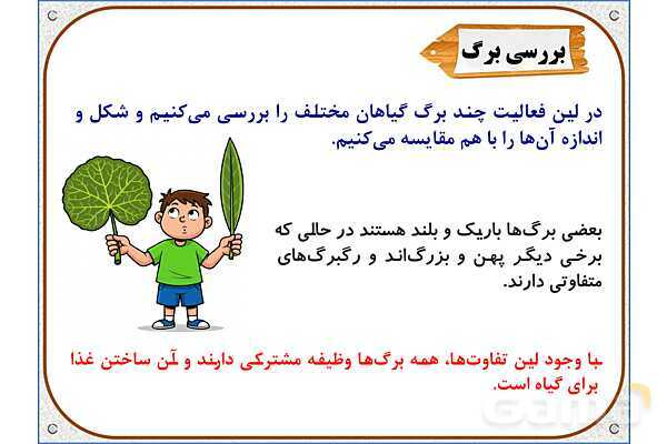 پاورپوینت علوم تجربی پایه پنجم | درس 12: از ریشه تا برگ- پیش نمایش