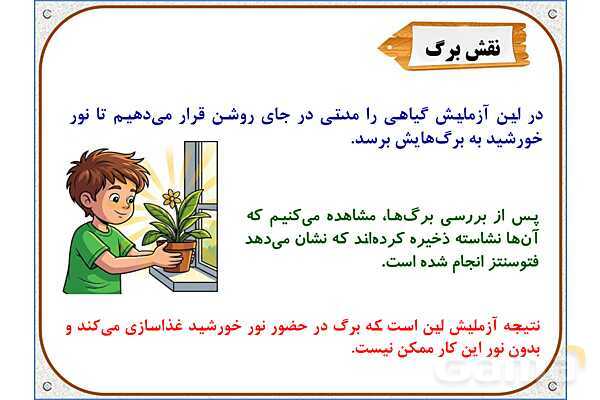 پاورپوینت علوم تجربی پایه پنجم | درس 12: از ریشه تا برگ- پیش نمایش