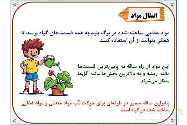 پاورپوینت علوم تجربی پایه پنجم | درس 12: از ریشه تا برگ- پیش نمایش