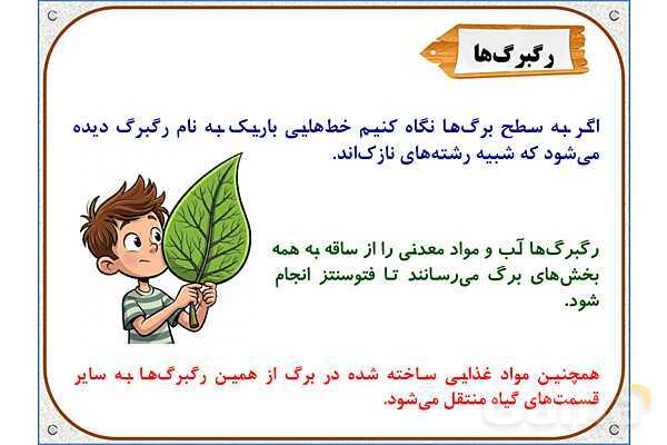 پاورپوینت علوم تجربی پایه پنجم | درس 12: از ریشه تا برگ- پیش نمایش