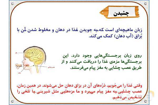 پاورپوینت علوم تجربی پایه پنجم | درس 7: چه خبر (2)- پیش نمایش