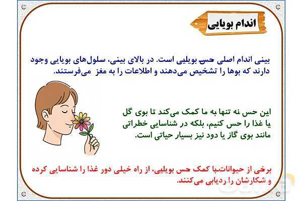 پاورپوینت علوم تجربی پایه پنجم | درس 7: چه خبر (2)- پیش نمایش