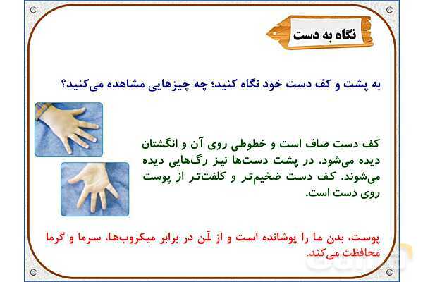 پاورپوینت علوم تجربی پایه پنجم | درس 7: چه خبر (2)- پیش نمایش