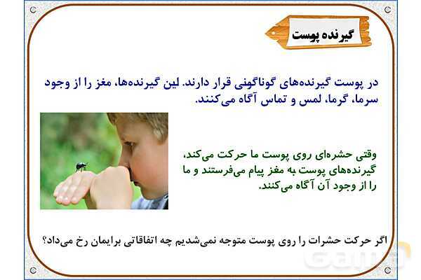 پاورپوینت علوم تجربی پایه پنجم | درس 7: چه خبر (2)- پیش نمایش