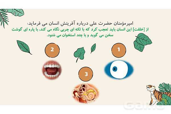 پاورپوینت درس 1: آفرینش شگفت انگیز | پیام‌های آسمان هشتم- پیش نمایش