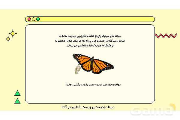 فایل پاورپوینت تدریس کامل فصل 1 زیست دهم؛ دنیای زنده- پیش نمایش