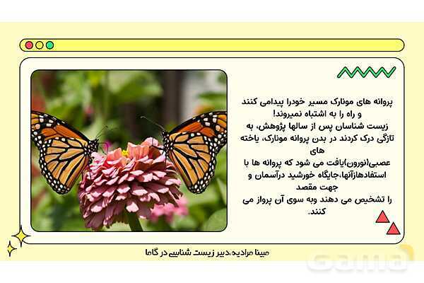 فایل پاورپوینت تدریس کامل فصل 1 زیست دهم؛ دنیای زنده- پیش نمایش