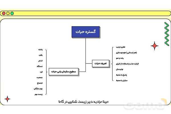 فایل پاورپوینت تدریس کامل فصل 1 زیست دهم؛ دنیای زنده- پیش نمایش